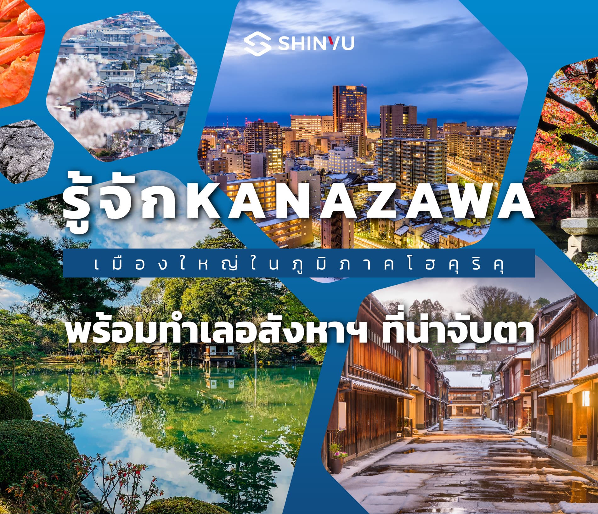 Article Mobile Cover